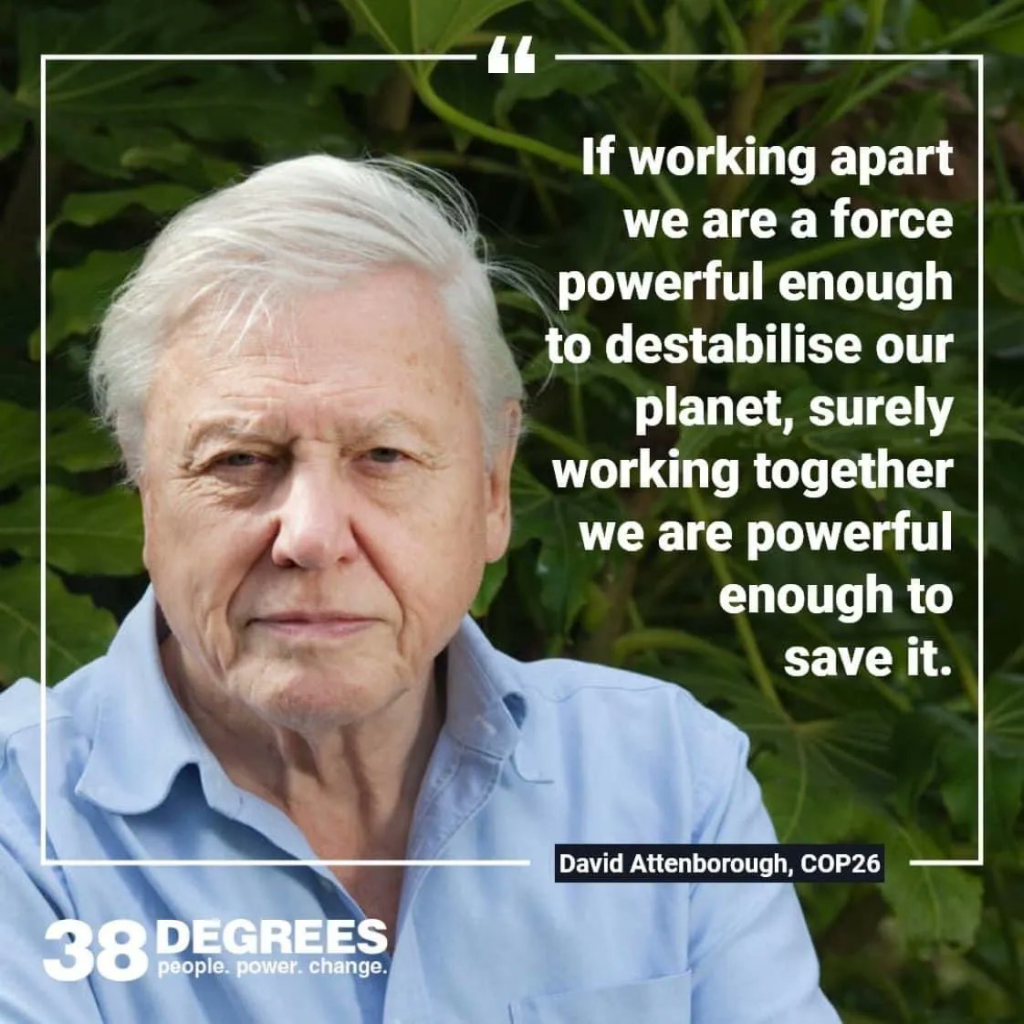 Older man with white hair and a light blue shirt sits outdoors in front of green foliage, alongside a quotation about collective action to save the planet. Text attributes the quotation to David Attenborough.